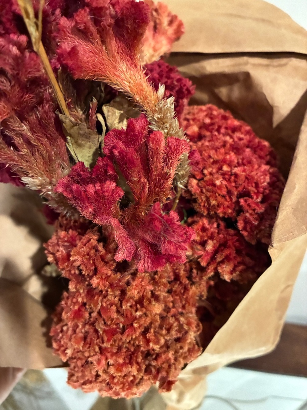 Dried Flower Bundle~Fuchsia Celosia Crestata Plumes & Heads/Arrangements Wreaths